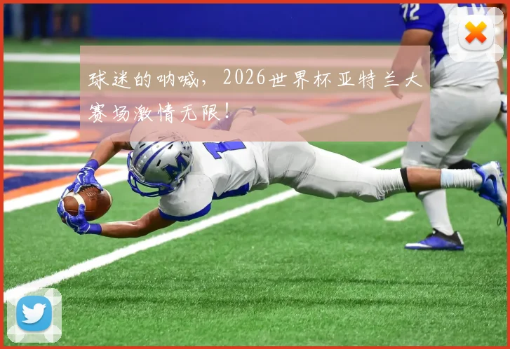 球迷的呐喊，2026世界杯亚特兰大赛场激情无限！