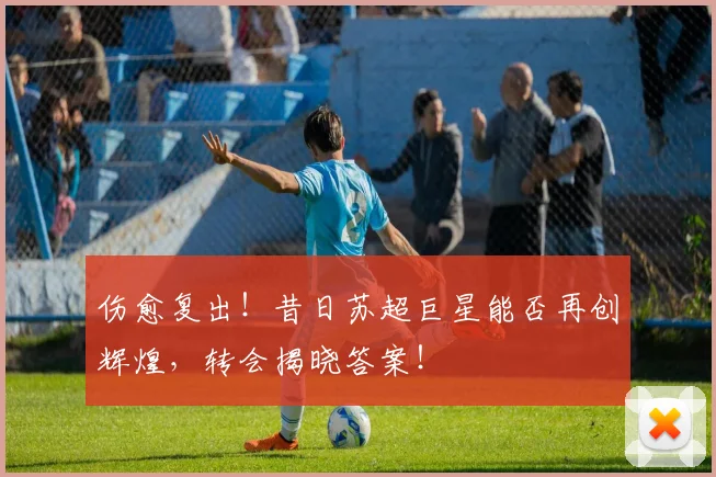 伤愈复出！昔日苏超巨星能否再创辉煌，转会揭晓答案！