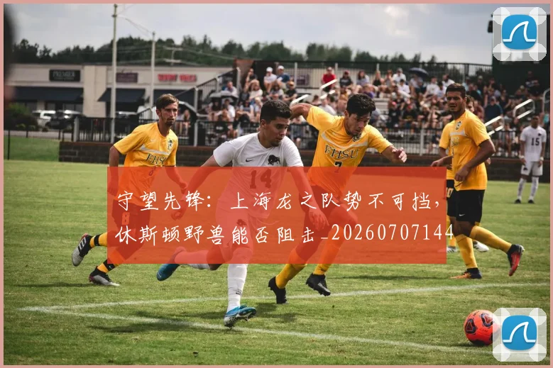 守望先锋：上海龙之队势不可挡，休斯顿野兽能否阻击_20260707144057