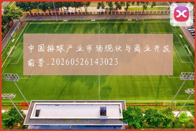 中国排球产业市场现状与商业开发前景_20260526143023
