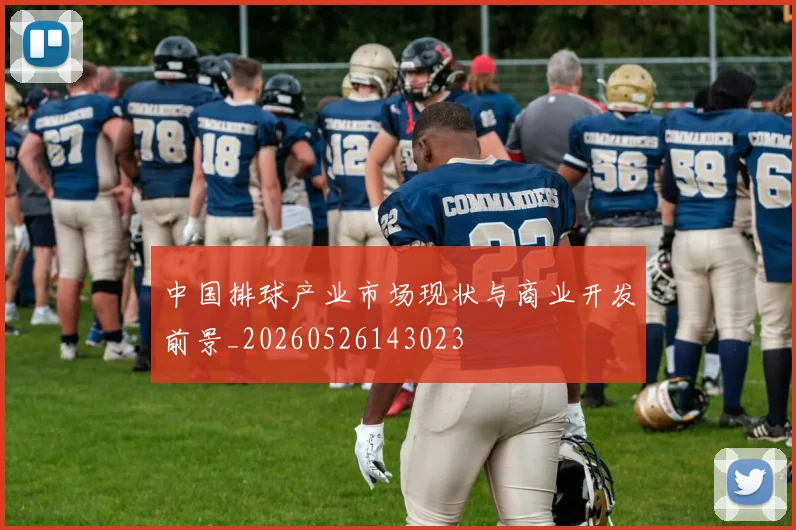 中国排球产业市场现状与商业开发前景_20260526143023